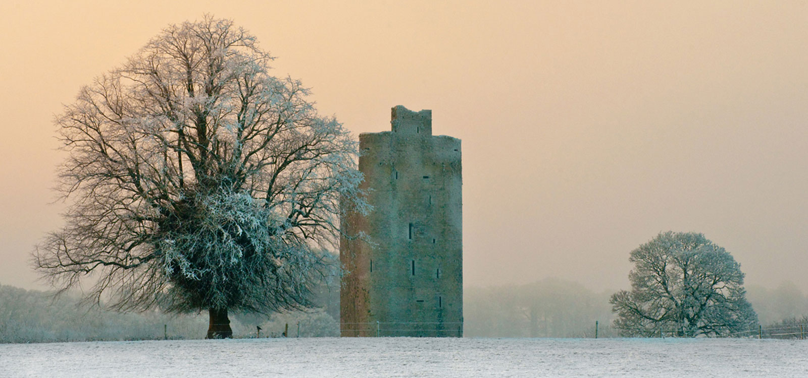 Majestic Beauty of Kilworth